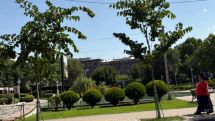 Հարգելի իշխանավորներ, հաշվի առեք, որ մասնագիտական գրագիտությունը մարդկային կյանքեր է փրկում, ձեր աշխատանքը՝ այն խլում է․ Վարդանյան