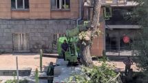 Բարձր կարգի հրդեհավտանգ իրավիճակում ի՞նչ են անում Երևանում. Կանաչ ծառ են կտրում