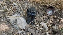 Վերածննդի այգու չորացած հասուն ծառերի ու խոտածածկի համար դուք վճարել եք 1մլն 140 հազ դոլարից ավելի գումար․ Վարդանյան