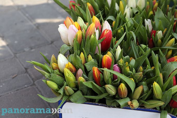 Warmer weather expected in Armenia in next few days