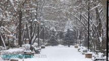 Ձնառատ ցիկլոնը հեռանում է, ջերմաստիճանը կնվազի 14-18 աստիճանով. Գագիկ Սուրենյան