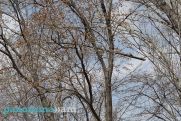 Осадки в виде дождя и снега – в разных регионах Армении