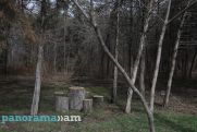 Погода в Армении взяла курс на весну, но ожидается сильный ветер