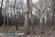 Chief meteorologist: No frosts expected in Armenia