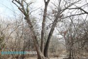 Showers expected in Armenia in next few days