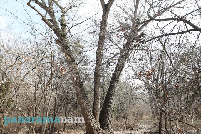 Showers expected in Armenia in next few days