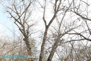 Погода в Армении: 11-го апреля температура воздуха понизится на 5-7 градусов
