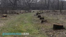 Այսպիսի զանգվածային հատումներ, կանաչ կմախքի ոչնչացման գործողություններ չեն եղել ոչ մի իշխանության ժամանակ․ Վարդանյան