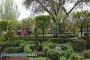 Ի՞նչ եղանակ սպասել հուլիսին