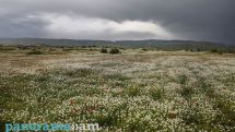 Heavy rain, hail to persist in Armenia
