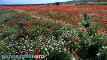 Temperatures to soar across Armenia