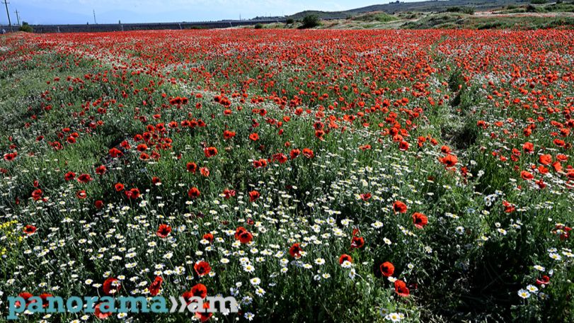 Temperatures to soar across Armenia