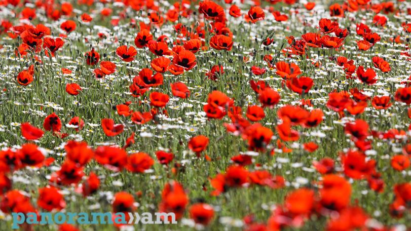 Прогноз погоды в Армении на июнь: что ожидать?