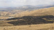 Սարավանում հրդեհի հետևանքով բուսական աշխարհին պատճառված վնասի փաստով հաղորդում է ներկայացրել ՔԿ