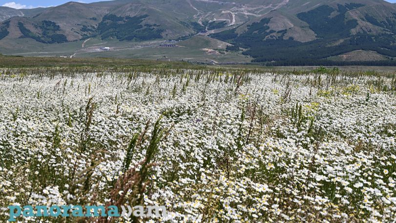 Heatwave and high UV index to persist in Armenia