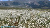 Օգոստոսի ամենաբարձր ջերմաստիճանները կգրանցվեն առաջիկա օրերին. Սուրենյան