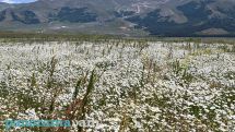 Dry, hot weather to persist in Armenia