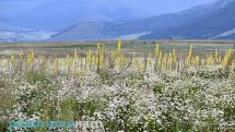 Hot, dry weather to persist across Armenia