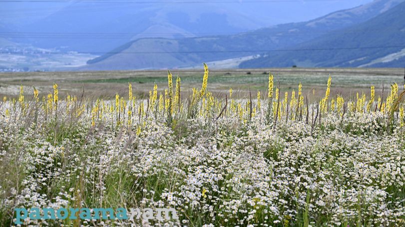 Hot, dry weather to persist across Armenia