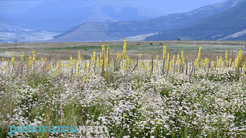Օդի ջերմաստիճանը կնվազի 5-8 աստիճանով