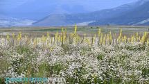 Temperatures to drop across Armenia on Saturday