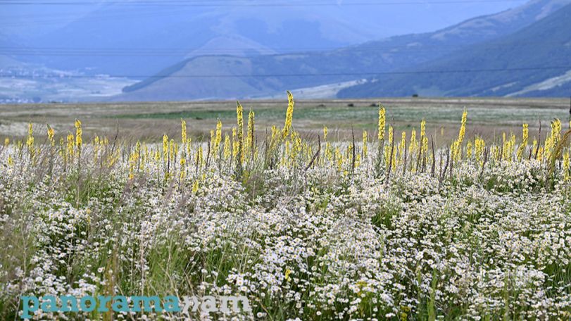 Temperatures to drop across Armenia on Saturday