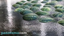 Օդի ջերմաստիճանը կբարձրանա 3-4 աստիճանով