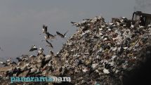 Opposition MP calls for immediate closure of Yerevan landfill