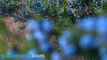 Temperatures to drop further in Armenia