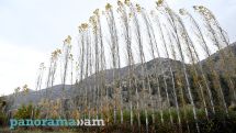 Temperatures to reach record highs in Armenia, chief meteorologist says