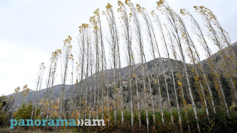 Temperatures to reach record highs in Armenia, chief meteorologist says
