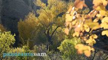 Temperatures to drop across Armenia over the weekend