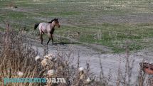 Rain expected across Armenia on Sunday