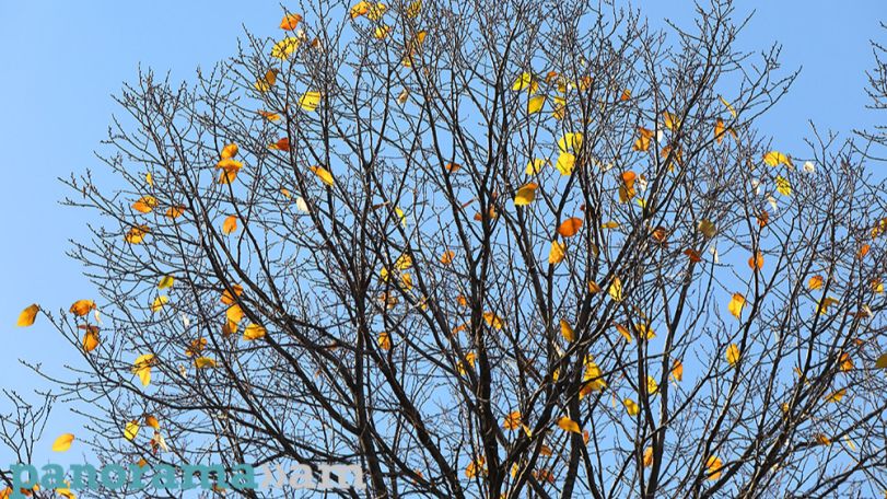 Temperatures to keep rising in Armenia
