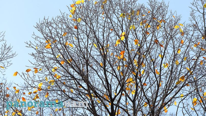 Dry weather expected over the weekend