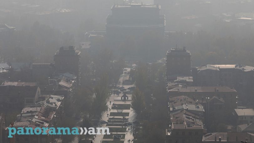 Օդի որակի լավացման համար պետք է հարյուրավոր հեկտարներով նոր անտառածածկ տարածքներ ստեղծենք. Ավինյան