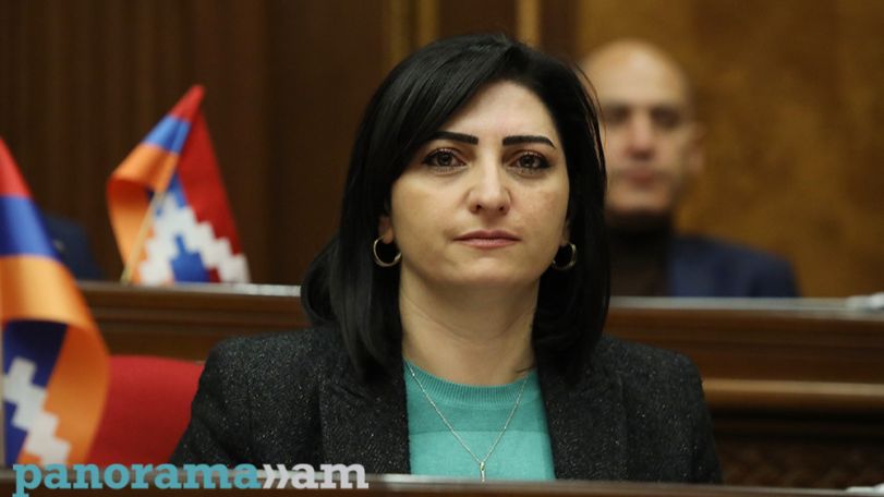 Անունը մի դրեք առողջության համընդհանուր ապահովագրություն, վերաբերելի է մի խումբ մարդկանց. Թովմասյանը՝ Ավանեսյանին
