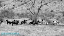 Առաջիկա օրերին սպասվում է ձյուն, անձրև, ջերմաստիճանը կնվազի 3-8 աստիճանով