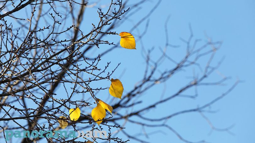 Temperatures to soar across Armenia