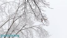 Heavy snow, blizzards expected in Armenia