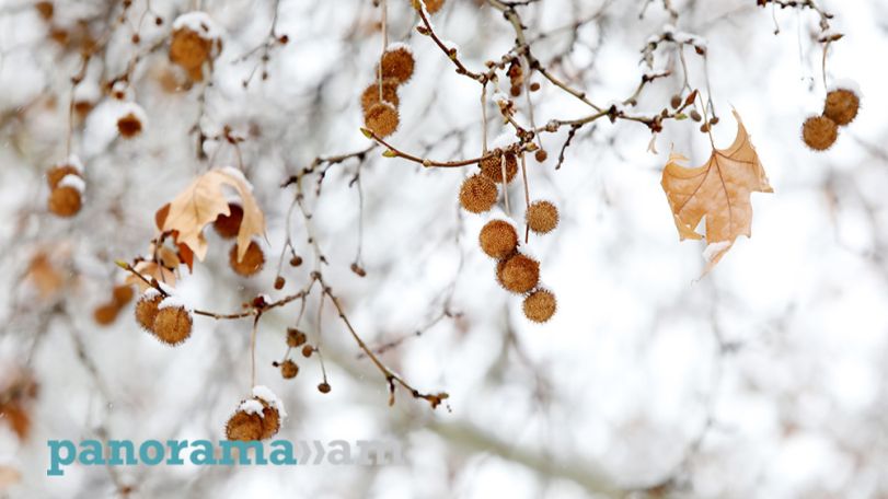 Temperatures to drop in some parts of Armenia today