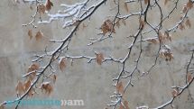 Snow, sleet to persist in Armenia today