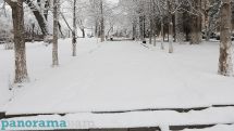 В Ереване солнечно, температура воздуха – минус 2, однако ближе к вечеру столбики термометров опустятся до 8 градусов мороза