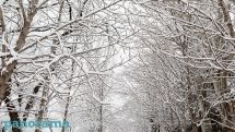 Armenia sees wetter-than-normal January