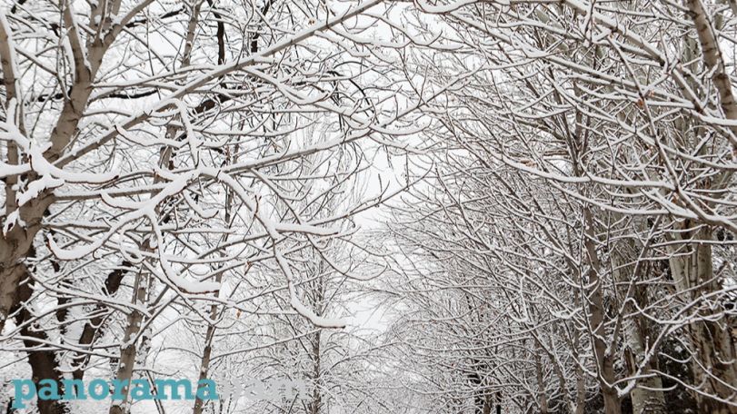 Armenia sees wetter-than-normal January