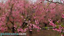 May confirmed as Armenia's wettest month