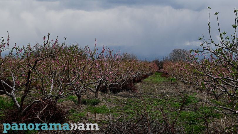 Armenia logs wettest March on record