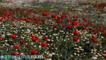 Temperatures to plunge across Armenia