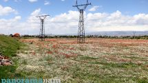 Temperatures to rise across Armenia