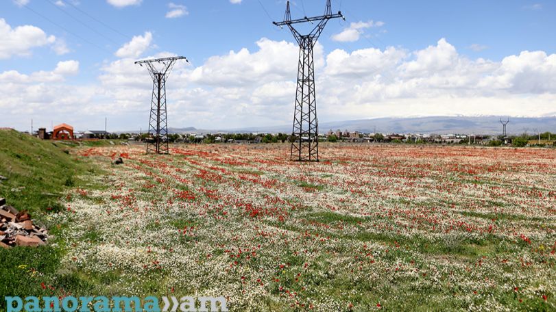 Temperatures to rise across Armenia